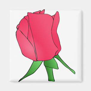 Blume Rose Pflanze Natur Flora Romantisches Blosso Magnet