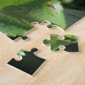 Blume, Rot, Blütenblättern, Rose, Natur, Blüte, Puzzle (Seite)