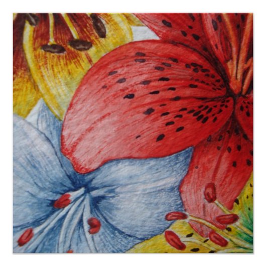 Blume Rot-Gelb-Blau-Lilie Poster (Vorderseite)