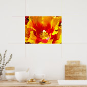 Blume Rot-Gelb-Tulip Kunstdrucke Poster (Küche)