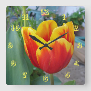 Blume Rot-Gelb-Tulip Uhr