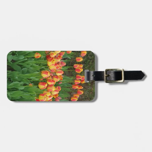 Blume Rot und Gelb Gepäckanhänger (Vorderseite horizontal)