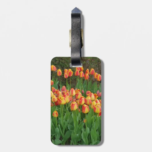 Blume Rot und Gelb Gepäckanhänger (Rückseite vertikal)