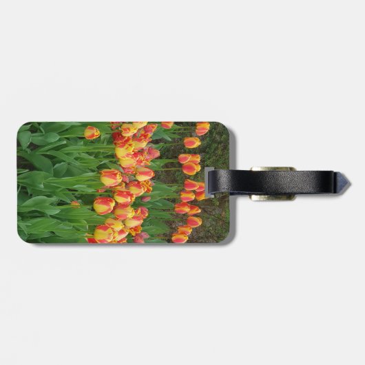 Blume Rot und Gelb Gepäckanhänger (Rückseite horizontal)