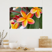 Blume Rot und Gelb Plumeria 3 Poster (Küche)