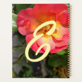 Blume Rot und Gelb Rose Planer (Rückseite)