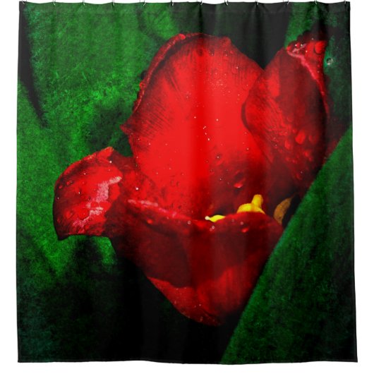 Blume Rot und Nass Duschvorhang (Vorderseite)