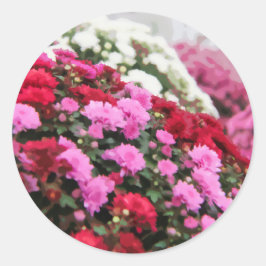 Blume Rot-Weiß- und Rosa-Malerei Runder Aufkleber