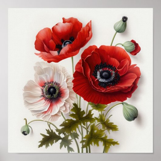 Blume Rote Anemone Poster (Vorne)