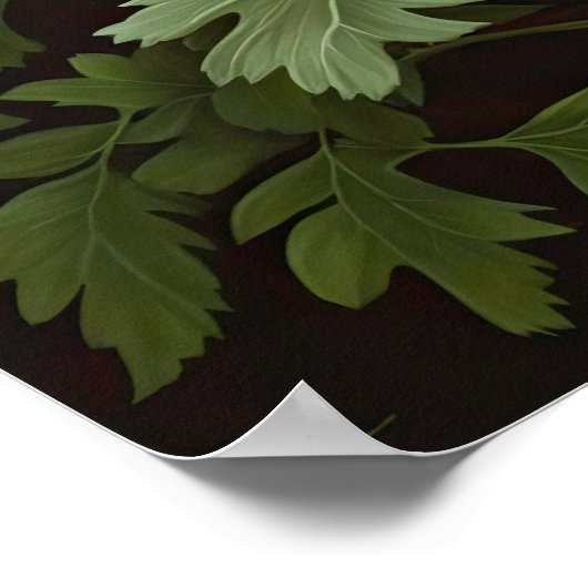 Blume Rote Anemone Poster (Ecke)