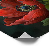 Blume Rote Anemone Poster (Ecke)