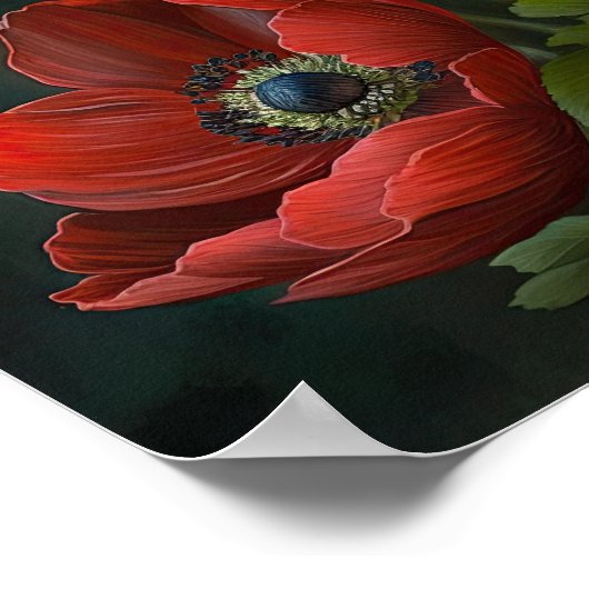 Blume Rote Anemone Poster (Ecke)