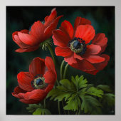 Blume Rote Anemone Poster (Vorne)