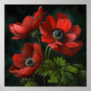 Blume Rote Anemone Poster