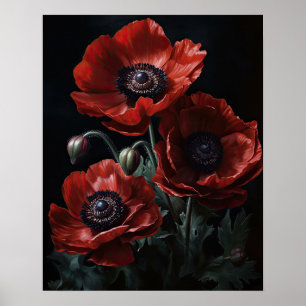 Blume Rote Anemone Poster