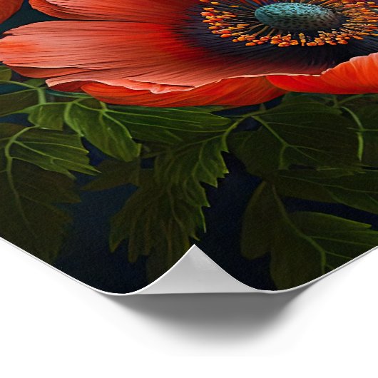 Blume Rote Anemone Poster (Ecke)