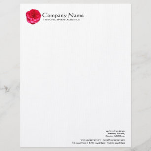 Blume - Rote Camelia Briefkopf