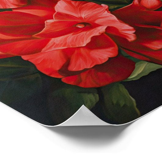 Blume Rote Garden Poster (Ecke)