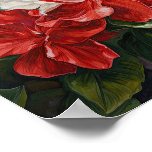 Blume Rote Garden Poster (Ecke)