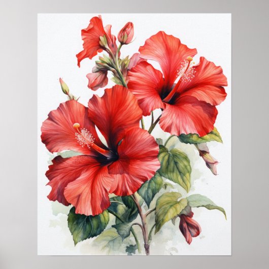 Blume Roter Hibiskus Art Print Poster (Vorne)