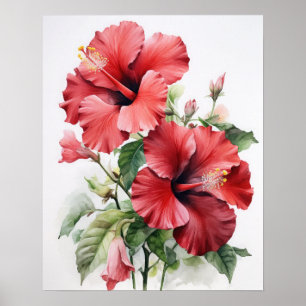 Blume Roter Hibiskus Art Print Poster