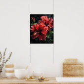 Blume Roter Hibiskus Art Print Poster (Küche)
