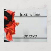 Blume Roter Hibiskus Botanisch fotografisch Postkarte (Vorderseite)