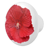 Blume Roter Hibiskus Botanische Blumenfotografie Keramikknauf (Rechts)