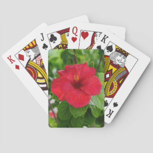 Blume Roter Hibiskus Spielkarten