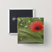 Blume Roter Mohn, Toskana, Italien Button (Vorne & Hinten)