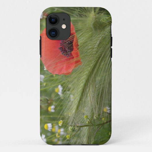Blume Roter Mohn, Toskana, Italien Case-Mate iPhone Hülle (Rückseite)