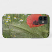 Blume Roter Mohn, Toskana, Italien Case-Mate iPhone Hülle (Rückseite (Horizontal))