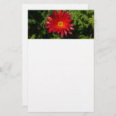 Blume Rotes Eis Farbenfrohe Teppiche Pflanze Briefpapier (Vorne/Hinten)