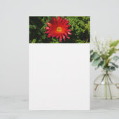 Blume Rotes Eis Farbenfrohe Teppiche Pflanze Briefpapier (Stehend Vorderseite)