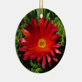 Blume Rotes Eis Farbenfrohe Teppiche Pflanze Keramikornament (Rechts)