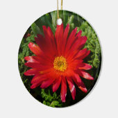Blume Rotes Eis Farbenfrohe Teppiche Pflanze Keramikornament (Links)