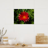 Blume Rotes Eis Farbenfrohe Teppiche Pflanze Poster (Küche)