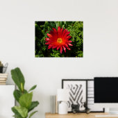 Blume Rotes Eis Farbenfrohe Teppiche Pflanze Poster (Heimbüro)