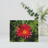 Blume Rotes Eis Farbenfrohe Teppiche Pflanze Postkarte (Stehend Vorderseite)