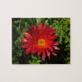 Blume Rotes Eis Farbenfrohe Teppiche Pflanze Puzzle (Horizontal)