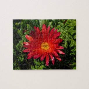 Blume Rotes Eis Farbenfrohe Teppiche Pflanze Puzzle