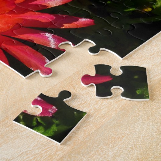 Blume Rotes Eis Farbenfrohe Teppiche Pflanze Puzzle (Seite)