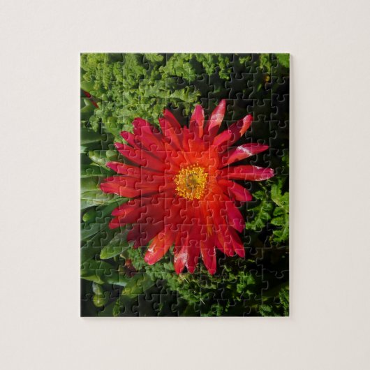 Blume Rotes Eis Farbenfrohe Teppiche Pflanze Puzzle (Vertikal)