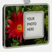 Blume Rotes Eis Farbenfrohe Teppiche Pflanze Rahmen-Ornament Silber (Rechts)