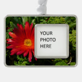 Blume Rotes Eis Farbenfrohe Teppiche Pflanze Rahmen-Ornament Silber (Vorderseite)