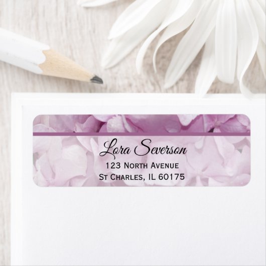 Blume-Rücksendeadresse von Soft Pink Hydrangea (Insitu)