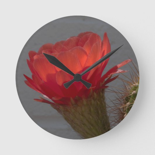 Blume Runde Wanduhr (Vorderseite)