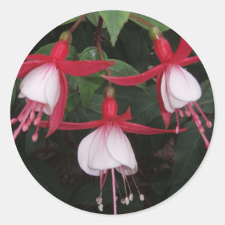 Blume Runder Aufkleber