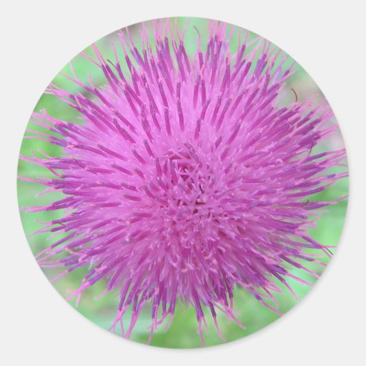 Blume Runder Aufkleber (Vorderseite)
