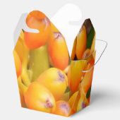 Blume Saatgut Ausnehmen Geschenkschachtel (Geöffnet)